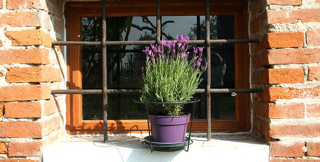 Albaspina B&B vicino Venezia