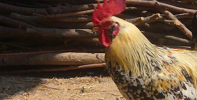 Bed and Breakfast Vicenza