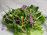 Albaspina Bioagriturismo Ristorazione Vegan